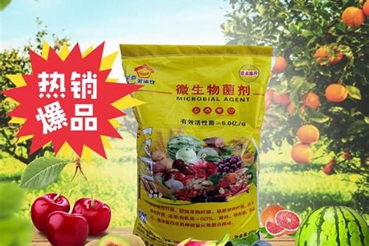 临沭有机肥生产厂家