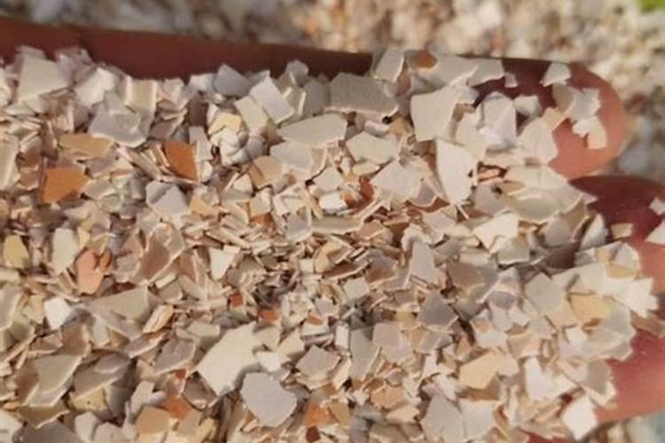 自制磷肥肥有哪些