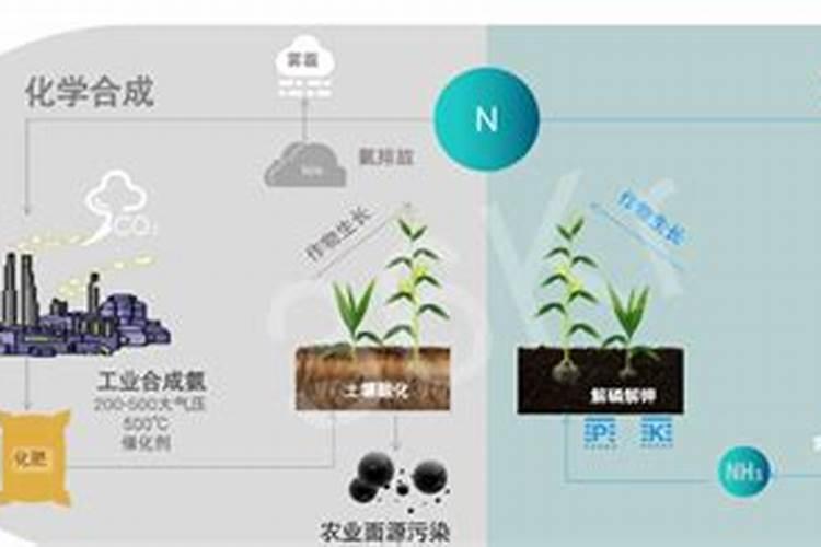 碳安化肥有什么作用？