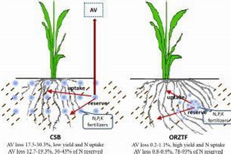 钾肥不下雨会挥发吗为什么不能用？