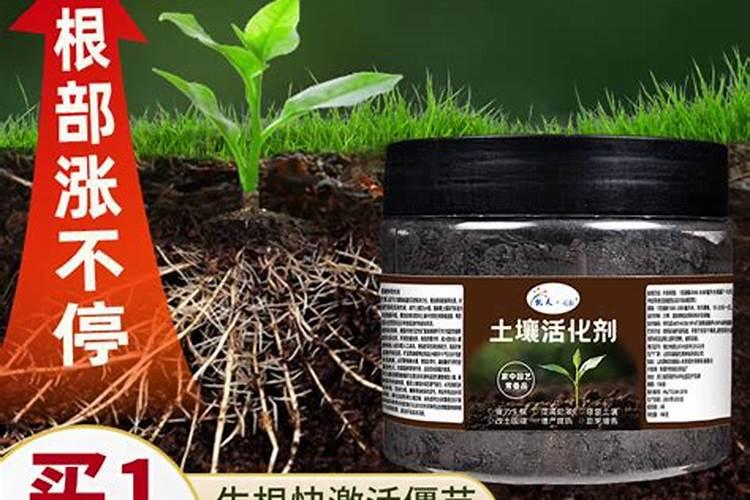 (土壤活化剂能适合种菜松土吗