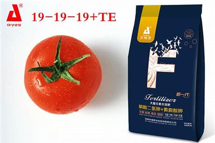 西红柿追什么肥最甜