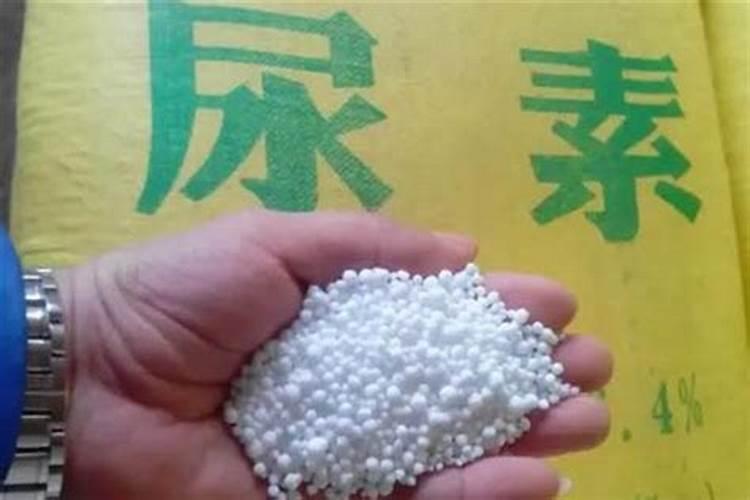 高氮肥料有哪几种尿素类型？