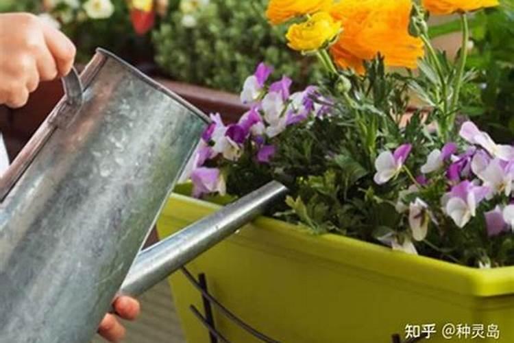 花草可以用农家肥吗？