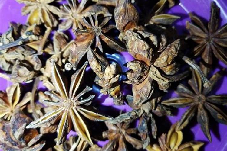 八角树需要打药吗