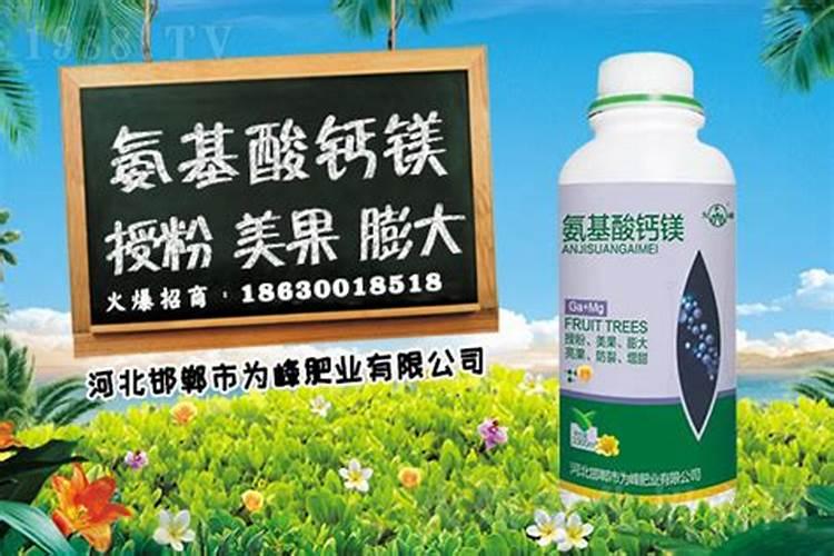 冬天阴天需要喷施钙镁肥