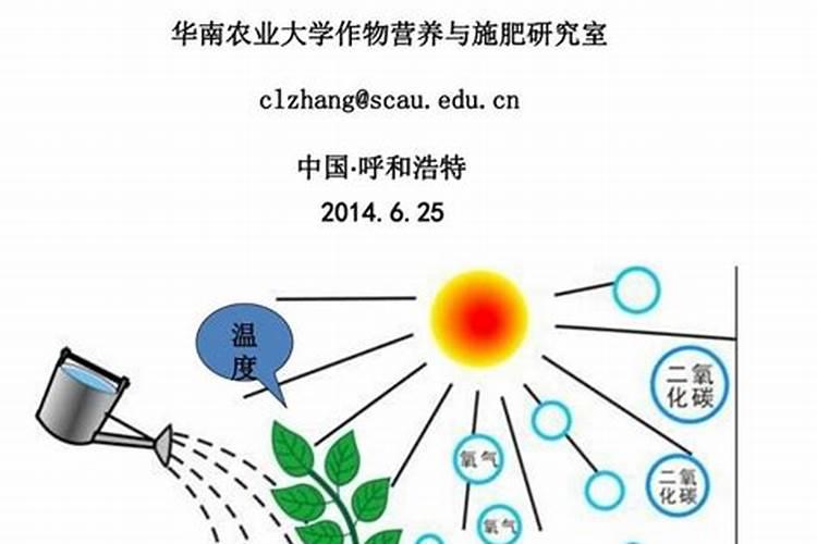 氯化钾番茄上应用