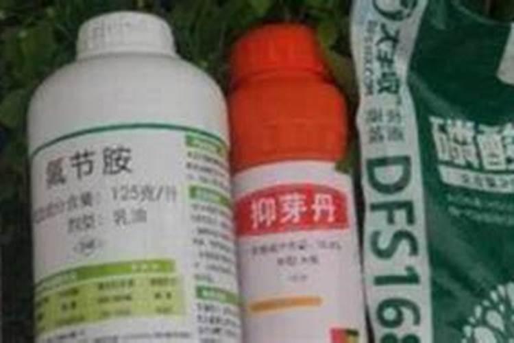 多效唑和芸苔素一起喷