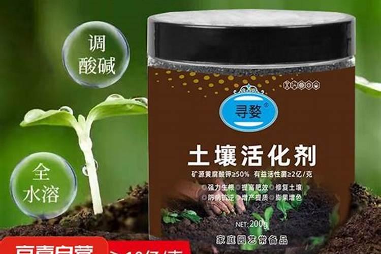 土壤活化剂水养可以用吗？