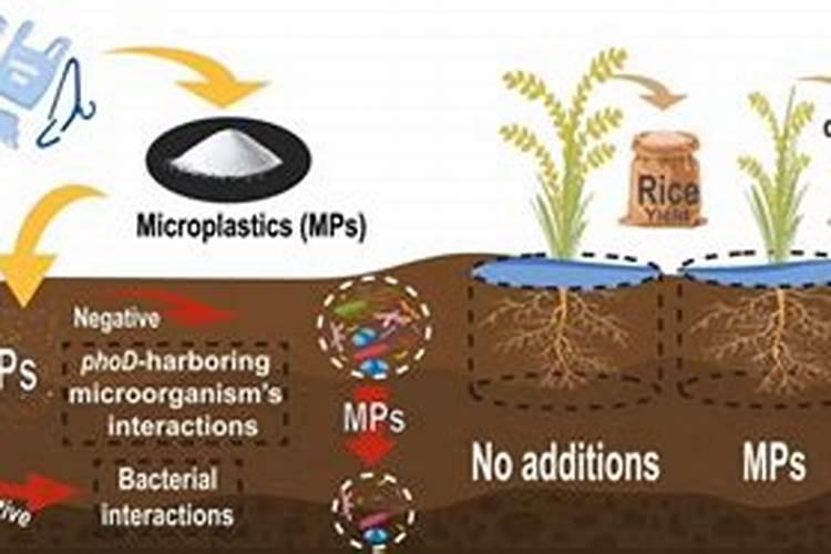 磷肥对塑料有没有腐蚀性作用？