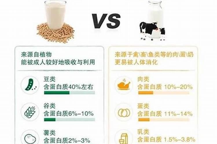 黄豆和鱼蛋白哪个好一点？