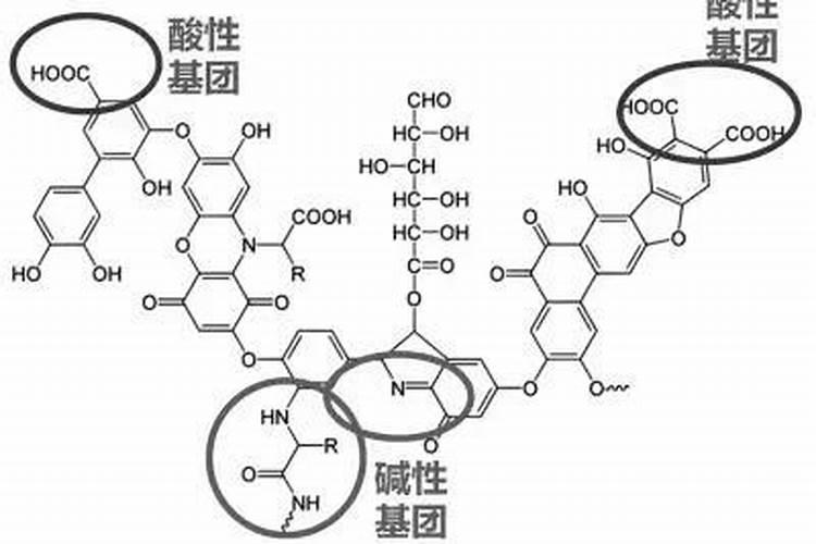 腐殖酸与腐植酸钠的区别在哪？