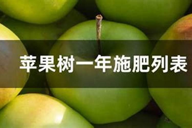 苹果一年施肥一览表
