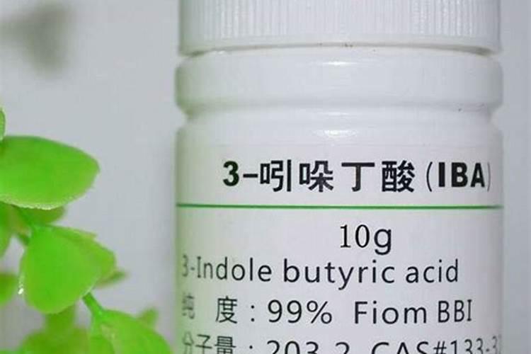 吲哚丁酸溶液在哪里卖的到