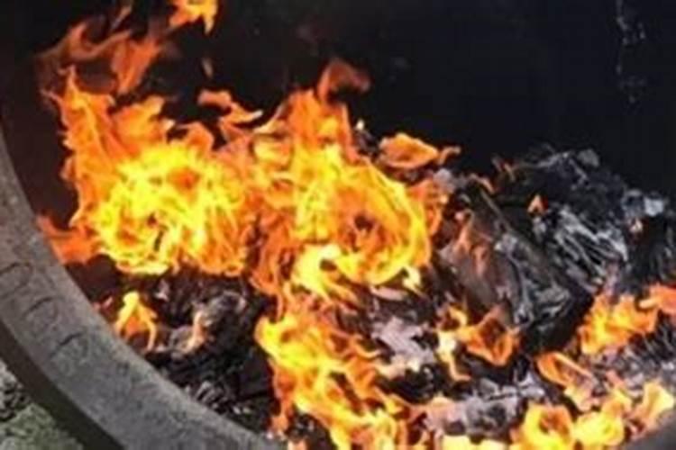 草木灰适合养什么花