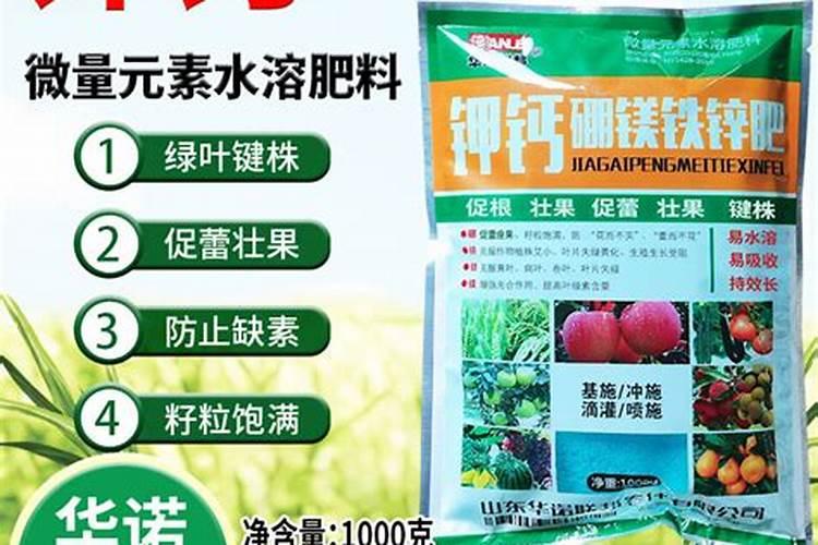 如何使用微量元素及钙肥促进保果？