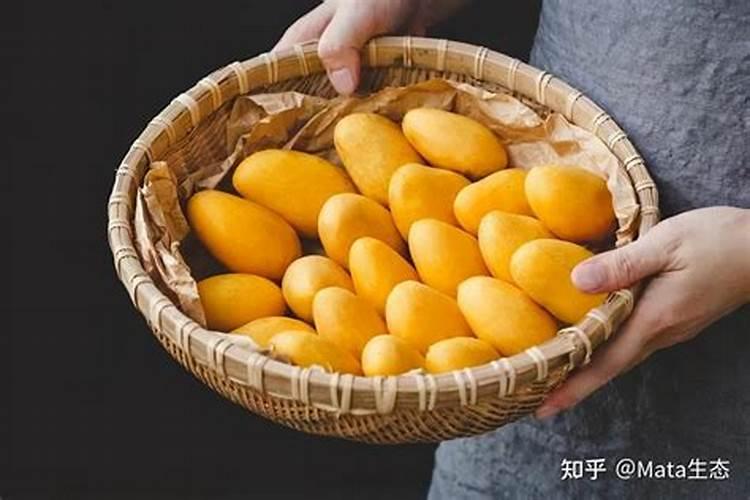 缺钙的芒果,后果很严重