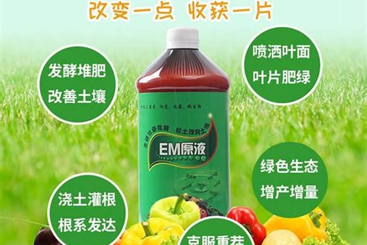 em菌,em原露如何应用于蔬菜种植？