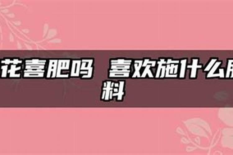 荷花喜肥吗 喜欢施什么肥料