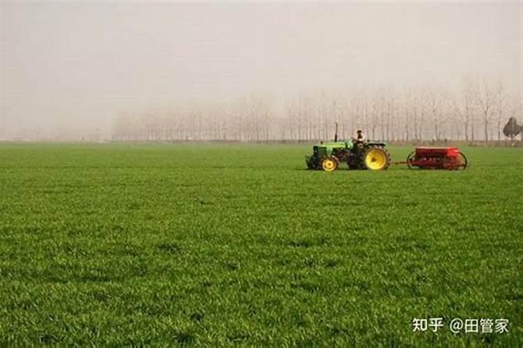 小麦春季追肥用钾肥好吗为什么？