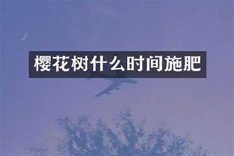 樱花什么时间上磷肥最好？