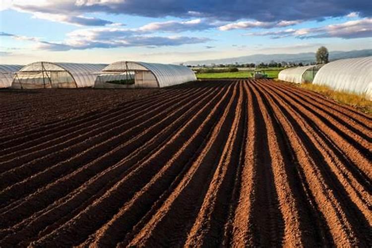 这样做,对土壤危害大,你知道吗？