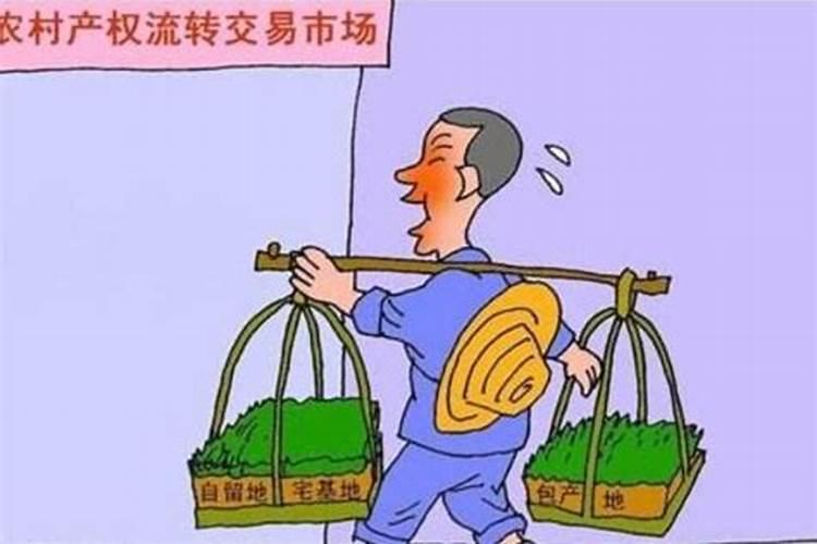 ...的资料(越详细越好)!另外,养殖需要哪些注意事项？谢谢哈
