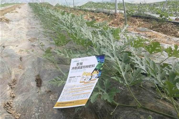 西瓜底肥可用25%复合肥吗