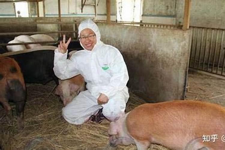 我国超级养猪场震惊美国,年产约210万头猪,他是怎么运作的呢？