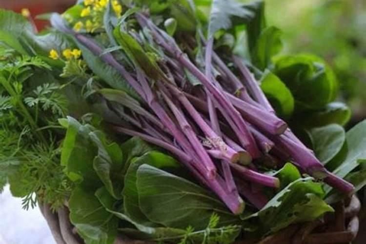 湖南湘潭特产:九华红菜薹