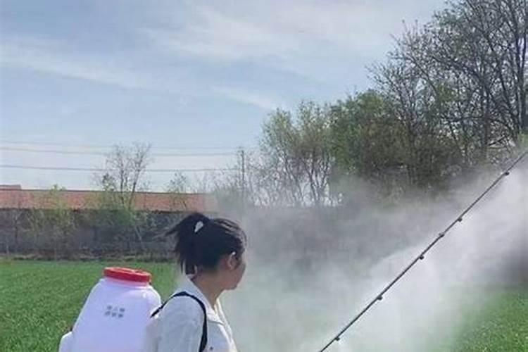 把尿素当作叶面肥喷施使用,效果真能翻倍吗？