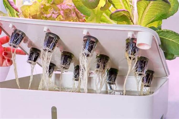 无土栽培营养液怎么配制？