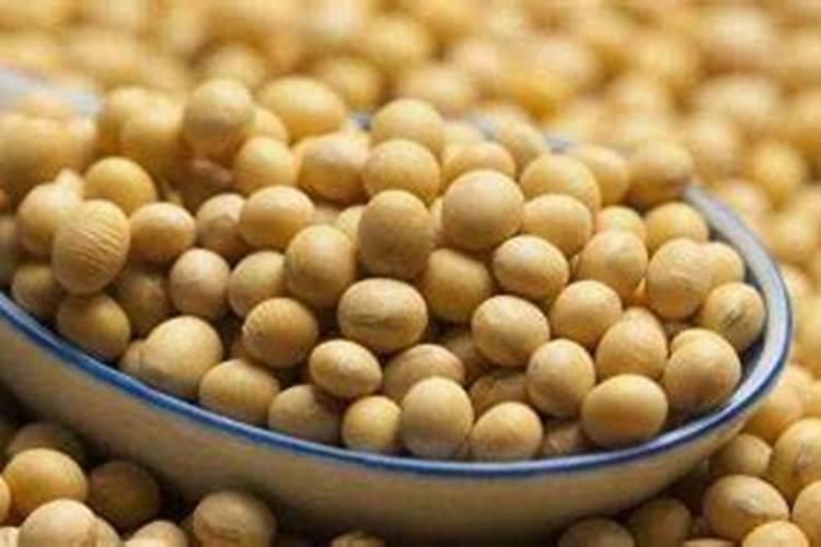 哪种元素对大豆有特殊作用蚂蚁庄园？