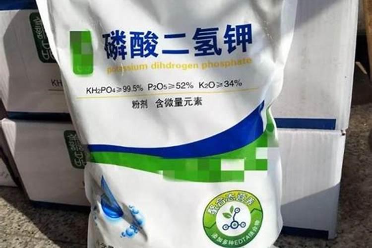 用磷酸二氢钾给米兰花催花需要注意些什么