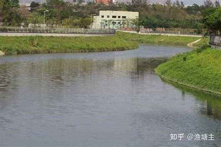 复合肥可以和有机肥水混用吗