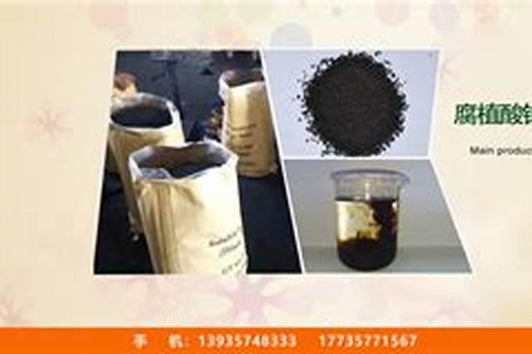 办个腐植酸加工厂打慨需要投资多少钱