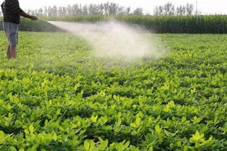 花生追肥时期可以放磷肥吗