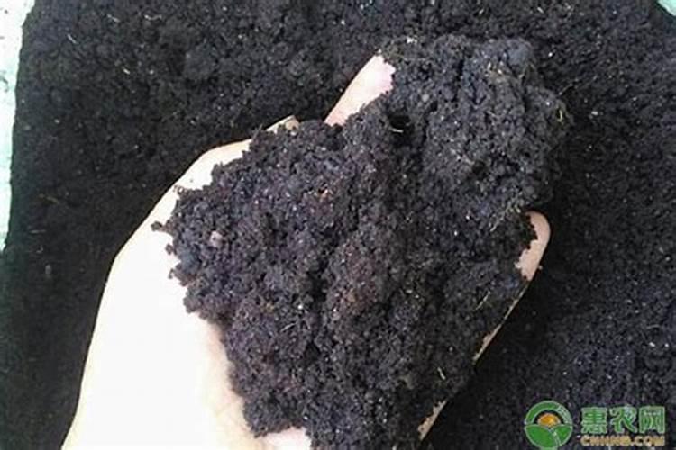 海藻肥13527一吨要多少钱