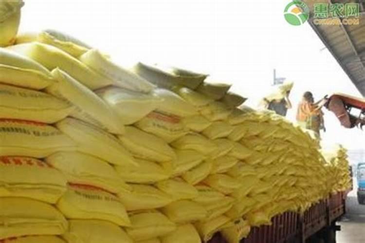 中国最好的肥料前十名