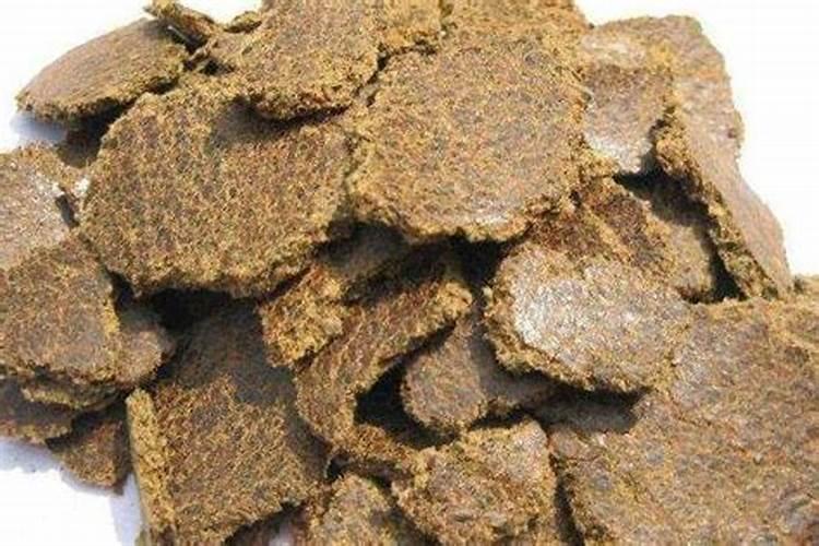 蛋白质饲料有哪些 蛋白质饲料原料有哪些