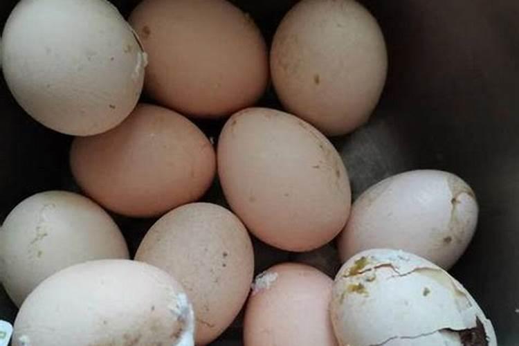 怎样判断鱼蛋肥的好坏