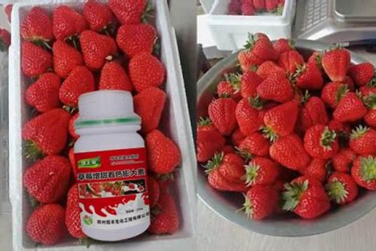 草莓要施什么肥料 硫酸钾46公斤