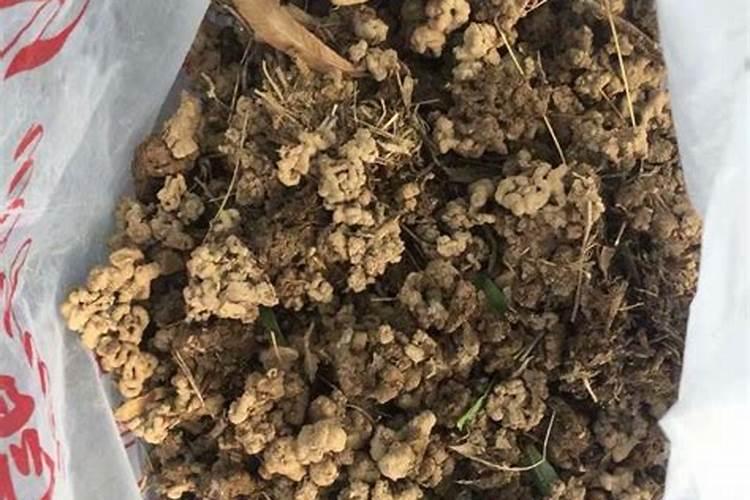 蚯蚓粪是钾肥吗还是磷肥？