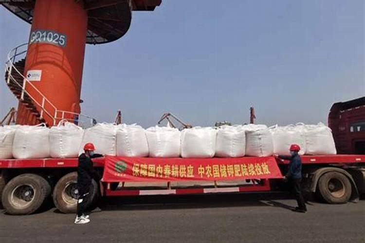 中农钾肥百万吨多少钱一桶？