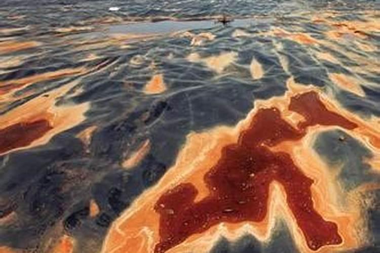 重金属环境污染大事件急