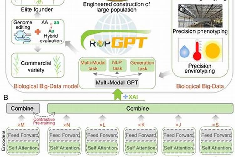 全水溶冲施肥标识中的TE是什么意思