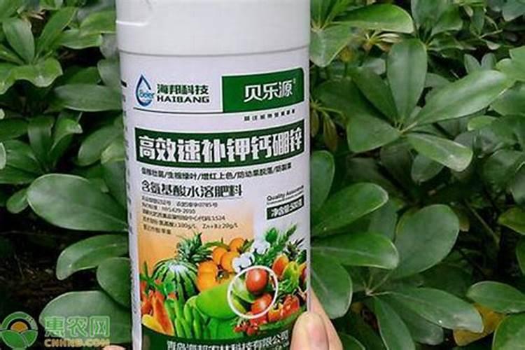 叶面肥护花肥起到什么作用和功效？