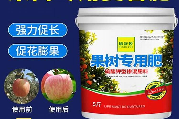 果树施加何种肥料可以让果实又大又甜呢？