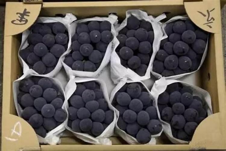 ㇏葡萄膨果配方