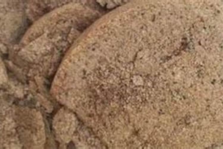 菜籽饼不发酵直接拌土做基肥会烧根吗